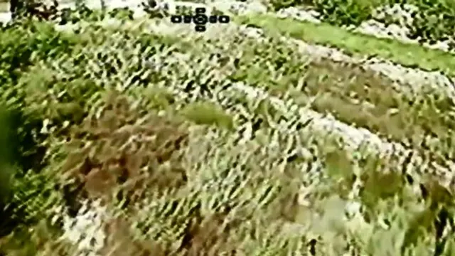 Merkava tank, al-Bayyada (dive drone)